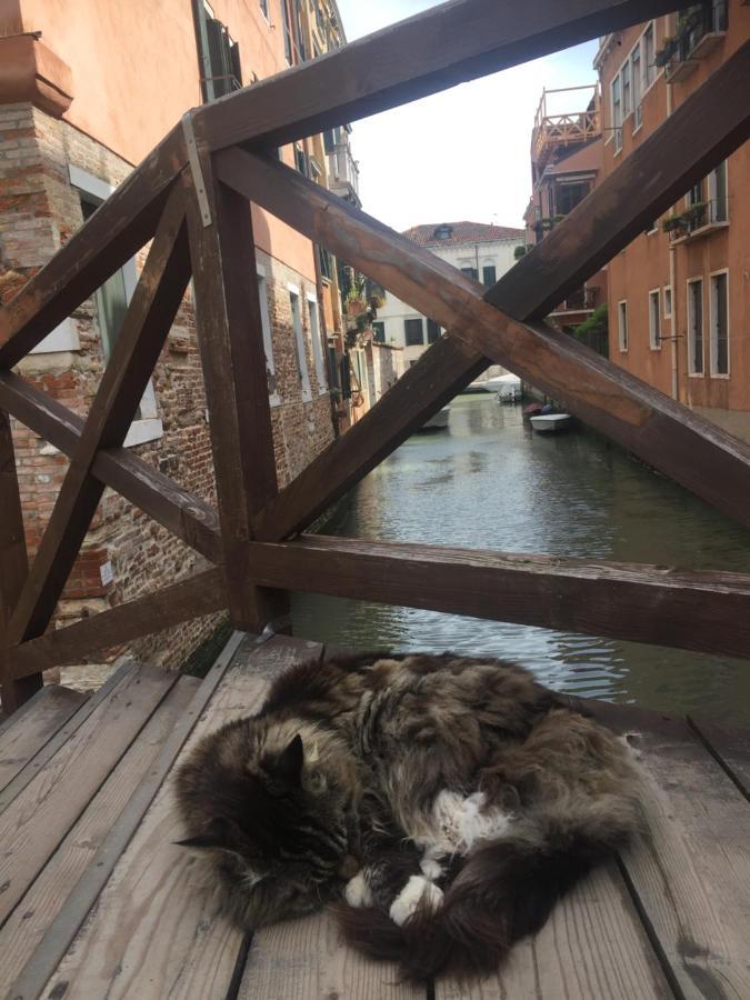 Tintoretto 4, 3 Grandi Camere Da Letto, 2 Bagni Venedik Dış mekan fotoğraf
